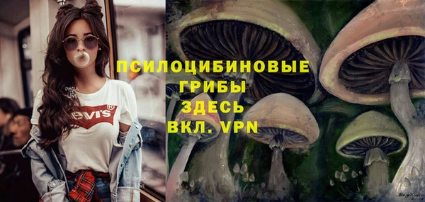 дживик Балабаново